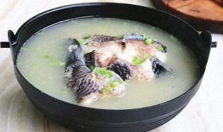 清炖黑鱼汤的做法 清炖黑鱼汤怎么做好吃呢