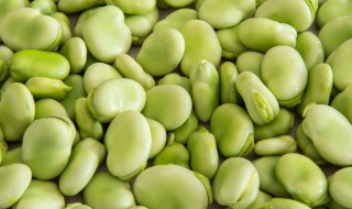 蚕豆焖饭要怎么做 蚕豆焖饭制作步骤
