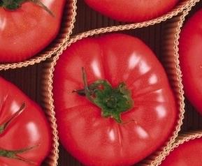 西红柿催熟剂的危害